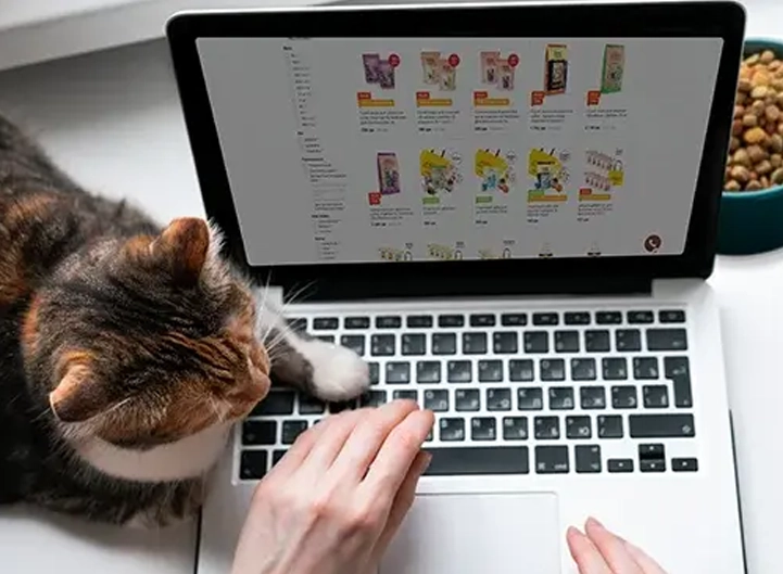 Настройка рекламы Google Ads для интернет-магазина производителя кормов для домашних животных