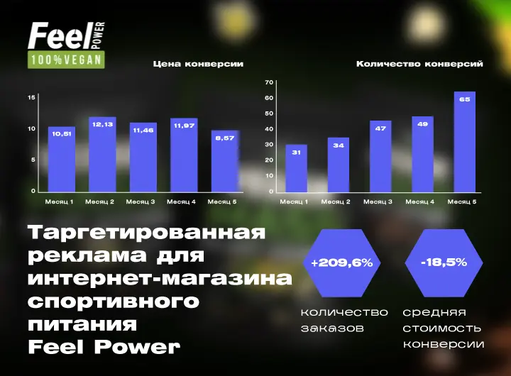 Кейс: Таргетированная реклама для интернет-магазина спортивного питания Feel Power