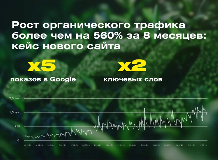 Кейс: SEO-оптимизация сайта поставщика оборудования для оснащения пищеблоков и школьных столовых