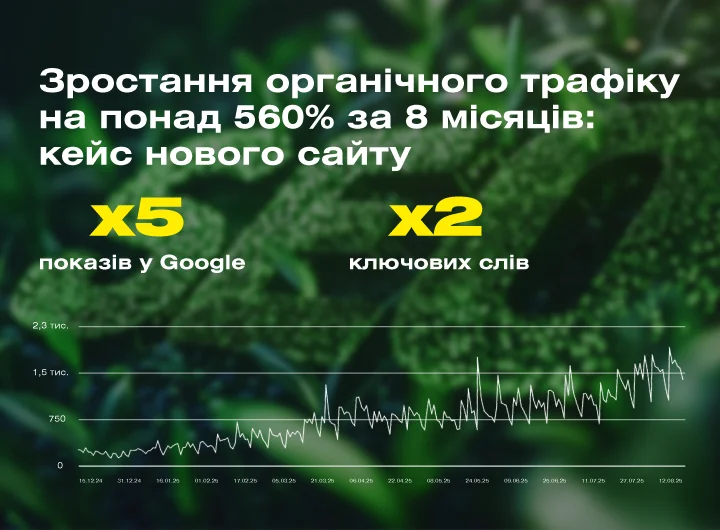 Кейс: SEO-оптимізація сайту постачальника обладнання для оснащення харчоблоків та шкільних їдалень