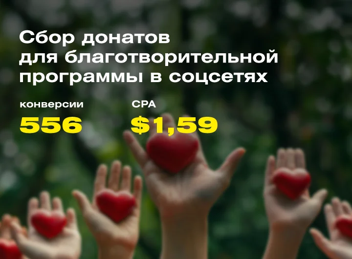 Кейс: Таргетированная реклама для благотворительного фонда