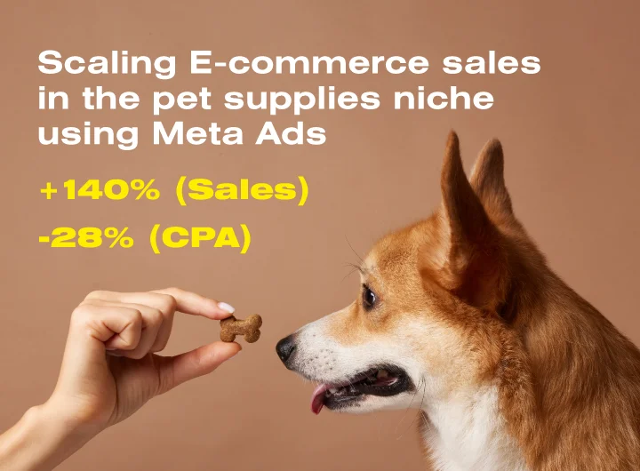 Case: Targeted advertising on Facebook and Instagram for a manufacturer of natural dried dog treats from TM Natural Petfood