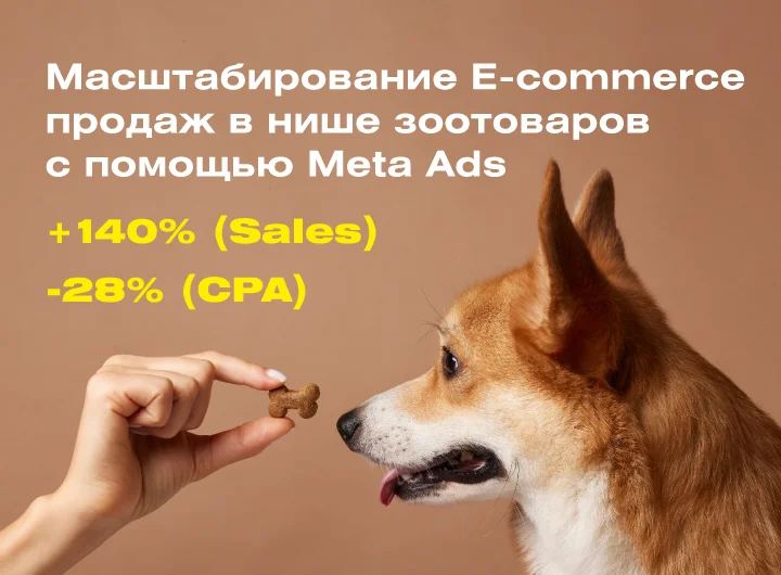 Кейс: Таргетированная реклама в Facebook и Instagram для производителя натуральных сушеных лакомств для собак от Natural Petfood