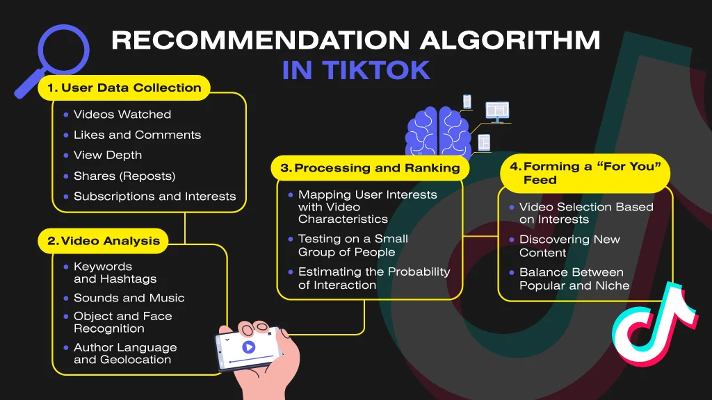 How TikTok's algorithms work