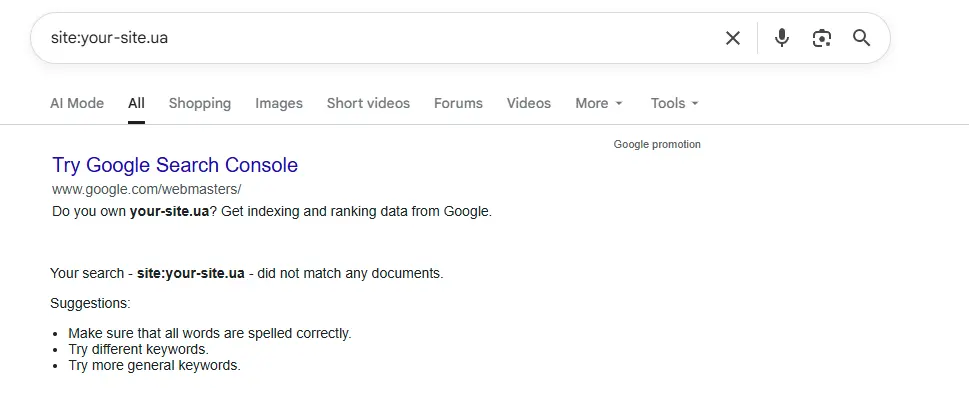 Google search results using the site:URL